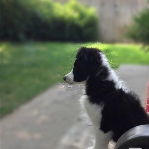 Meet your Posher, Tana